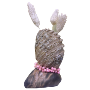 Gifts For Seashell Lovers | Hamper Gift Addons